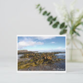 Kelp Coast, Rocky Scenery, Nieuw-Zeeland Briefkaart (Staand voorkant)