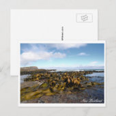 Kelp Coast, Rocky Scenery, Nieuw-Zeeland Briefkaart (Voorkant / Achterkant)