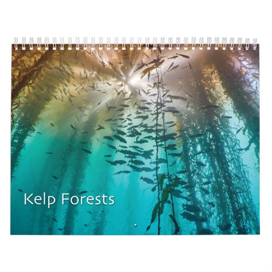 Kelp Forest onderwater fotokalender - Oceaan Kalender (Hoes)