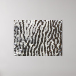 KELP verpakt canvas | m3galleryStudio Afdruk