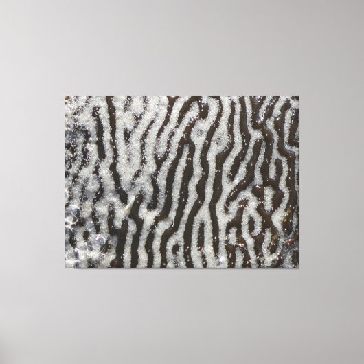 KELP verpakt canvas | m3galleryStudio Afdruk (Voorkant)