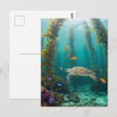 Kelp Woud Californië Briefkaart (Voorkant / Achterkant)