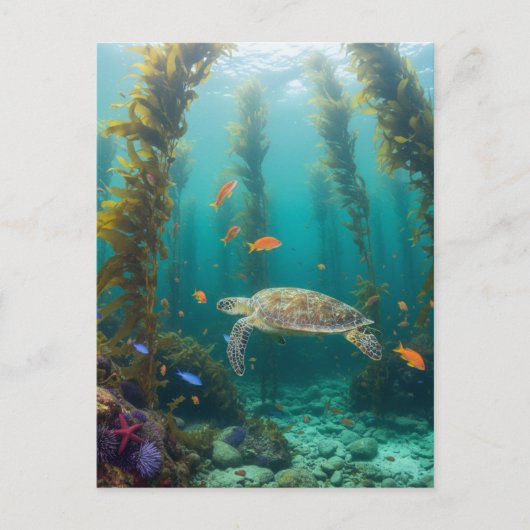 Kelp Woud Californië Briefkaart (Voorkant)