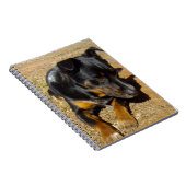 Kelpie_Boerderij_Life,_ Notitieboek (Rechterzijde)