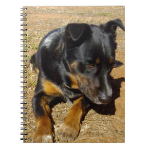 Kelpie_Boerderij_Life,_ Notitieboek