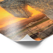 Kelpies Foto Afdruk (Hoek)