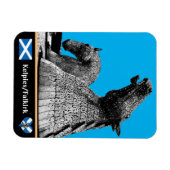 Kelpies & Statues in Falkirk/Scotland Art UK Magneet (Horizontaal)