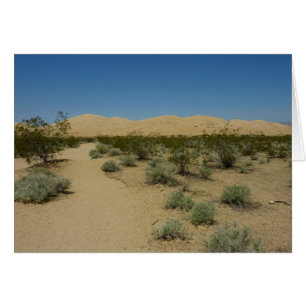 Kelso Dunes in het Nationaal Park Mojave