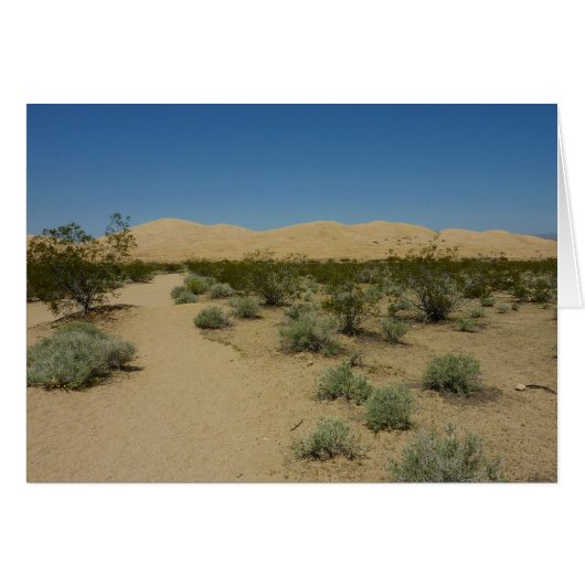 Kelso Dunes in het Nationaal Park Mojave (Voorkant Horizontaal)