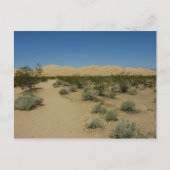 Kelso Dunes in het Nationaal Park Mojave Briefkaart (Voorkant)