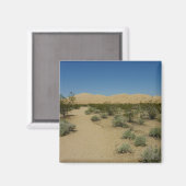 Kelso Dunes in het Nationaal Park Mojave Magneet (Voorkant / Achterkant)