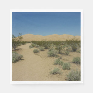 Kelso Dunes in het Nationaal Park Mojave Servet