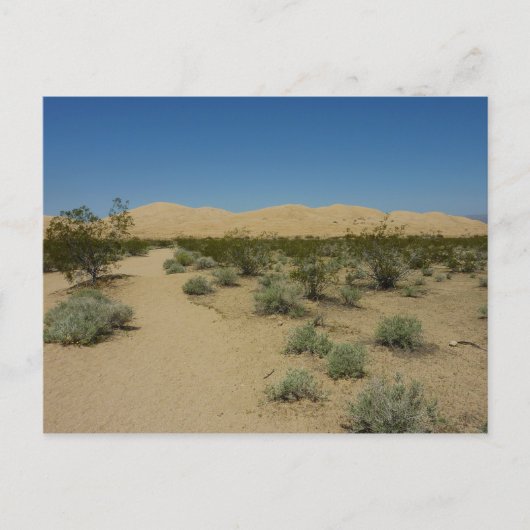 Kelso Dunes in Mojave National Park Briefkaart (Voorkant)