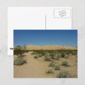 Kelso Dunes in Mojave National Park Briefkaart (Voorkant / Achterkant)