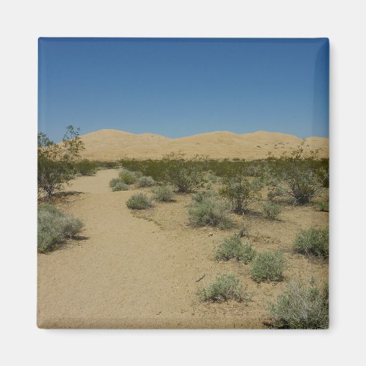 Kelso Dunes in Mojave National Park Magneet (Voorkant)