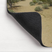 Kelso Dunes in Mojave National Park Muismat (Hoek)