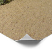 Kelso Dunes in Mojave National Park Poster (Hoek)