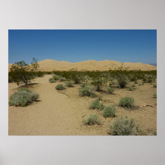 Kelso Dunes in Mojave National Park Poster (Voorkant)