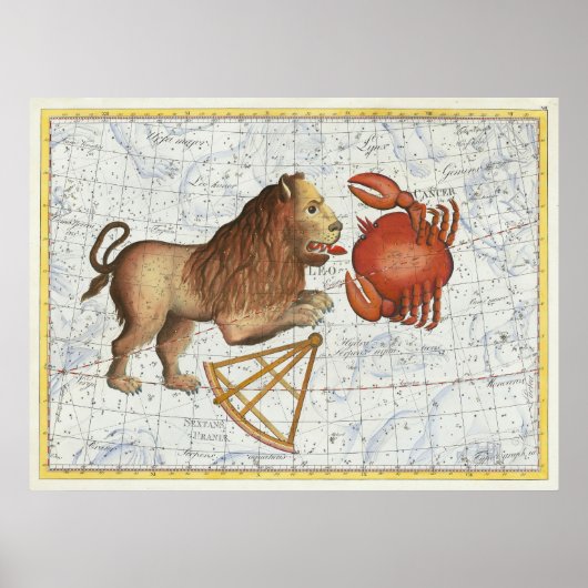  Keltische Kanker & Leo Constellations Poster (Voorkant)