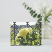 Kelvin Floodlight Dinnerplate Dahlia Briefkaart (Staand voorkant)