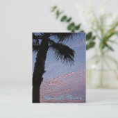 Kemah Palm Sunset briefkaart - op maat gemaakt (Staand voorkant)