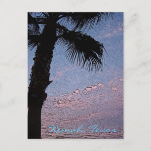 Kemah Palm Sunset briefkaart - op maat gemaakt