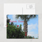 Kemah, Texas-Tropical Palm Briefkaart (Voorkant / Achterkant)