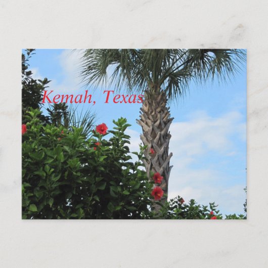 Kemah, Texas-Tropical Palm Briefkaart (Voorkant)