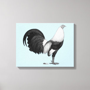 Kemphaan Grijze Duckwing Canvas Afdruk