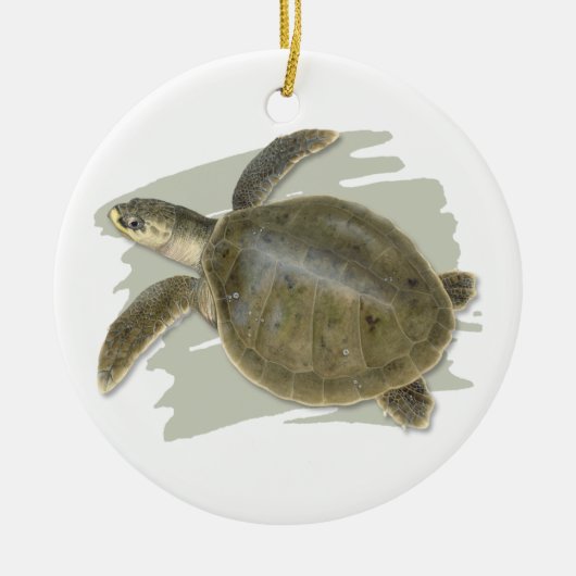 Kemp's Ridley Zee Turtle Ceramic Ornament (Voorkant)