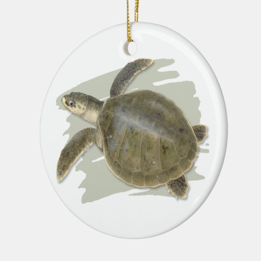 Kemp's Ridley Zee Turtle Ceramic Ornament (Links)