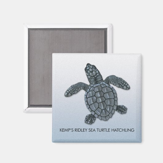 Kemp's Ridley Zee Turtle Hatchling Magnet (Voorkant / Achterkant)