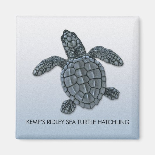 Kemp's Ridley Zee Turtle Hatchling Magnet (Voorkant)