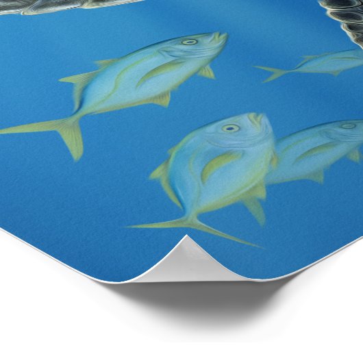 Kemp's Ridley Zee Turtle met Sargassum Poster (Hoek)