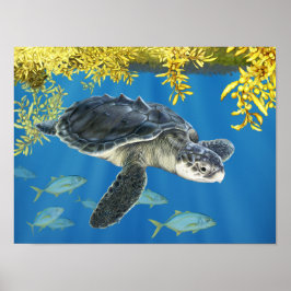 Kemp's Ridley Zee Turtle met Sargassum Poster