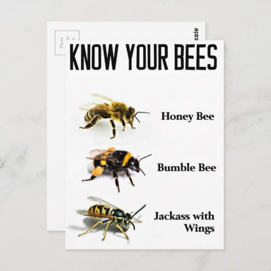Ken je bijen briefkaart (Voorkant / Achterkant)