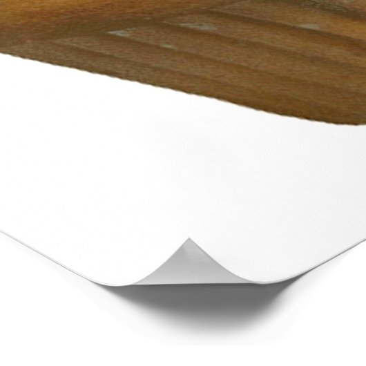 Ken je het Muffin Man? Poster (Hoek)