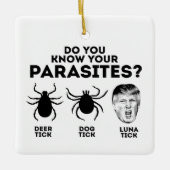 KEN JE PARASIETEN KERAMISCH ORNAMENT (Voorkant)