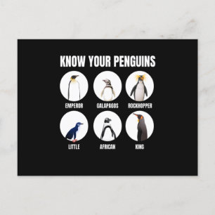 Ken je pinguins Penguin Snow Bird Briefkaart