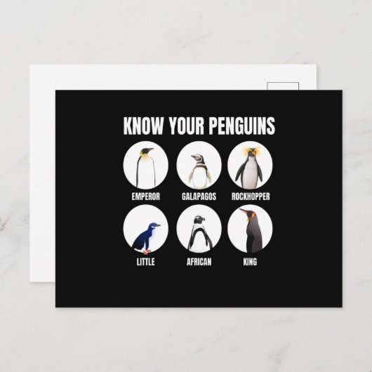 Ken je pinguins Penguin Snow Bird Briefkaart (Voorkant / Achterkant)