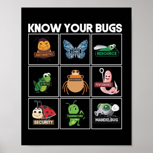 Ken Uw Codering van de Programma's van de Bugs Poster (Voorkant)