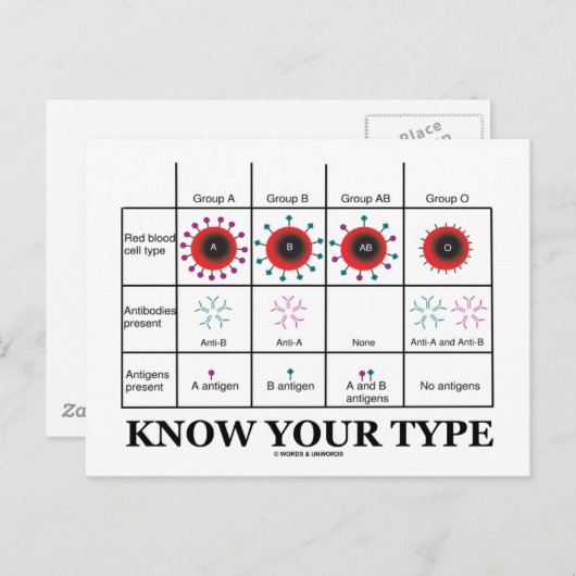 Ken uw type geneesmiddel (bloedtypes) briefkaart (Voorkant / Achterkant)