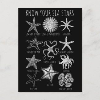 Ken uw Zee sterren - Starvisgroepen Briefkaart