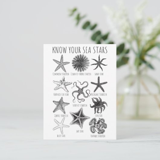 Ken uw Zee sterren - Starvisgroepen Briefkaart (Staand voorkant)