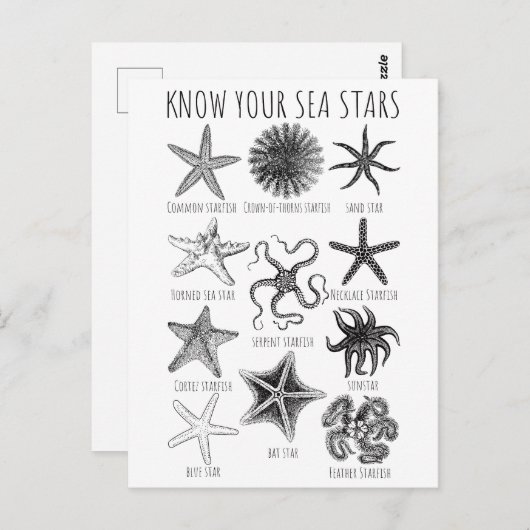 Ken uw Zee sterren - Starvisgroepen Briefkaart (Voorkant / Achterkant)