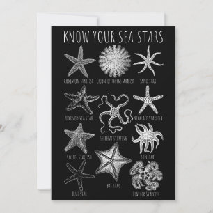 Ken uw Zee sterren - Starvisgroepen Kaart