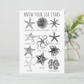Ken uw Zee sterren - Starvisgroepen Kaart (Staand voorkant)