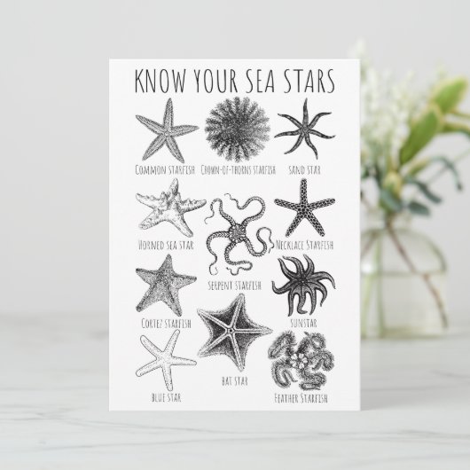 Ken uw Zee sterren - Starvisgroepen Kaart (Staand voorkant)