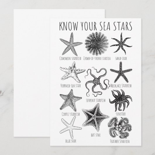 Ken uw Zee sterren - Starvisgroepen Kaart (Voorkant / Achterkant)