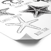 Ken uw Zee sterren - Starvisgroepen Poster (Hoek)